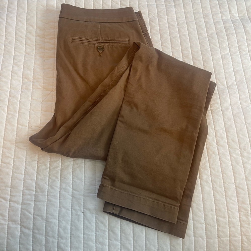 Men’s Express Brown Chino Pants